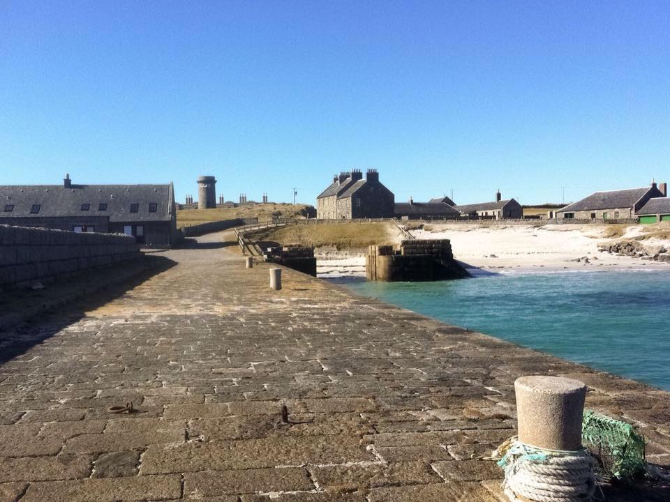 Tiere Schottland Tiere Schottland